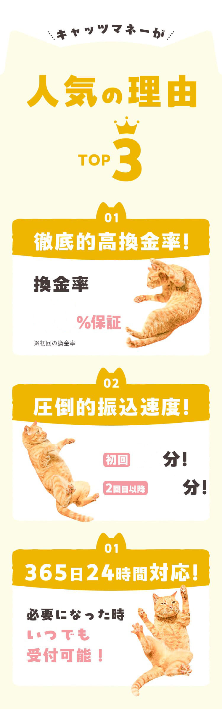 人気の理由