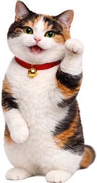 キャッツマネーの猫店長