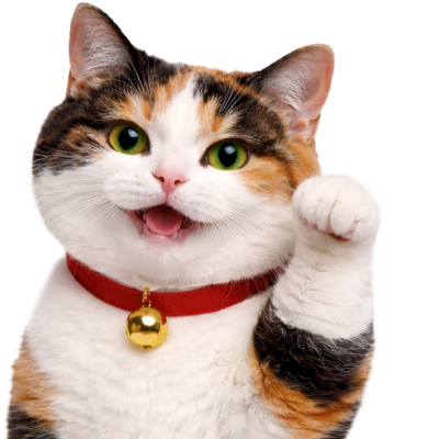 キャッツマネーの猫店長