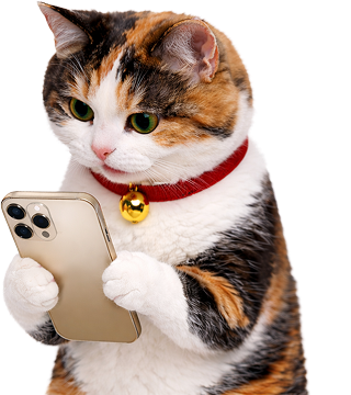 キャッツマネーの猫店長