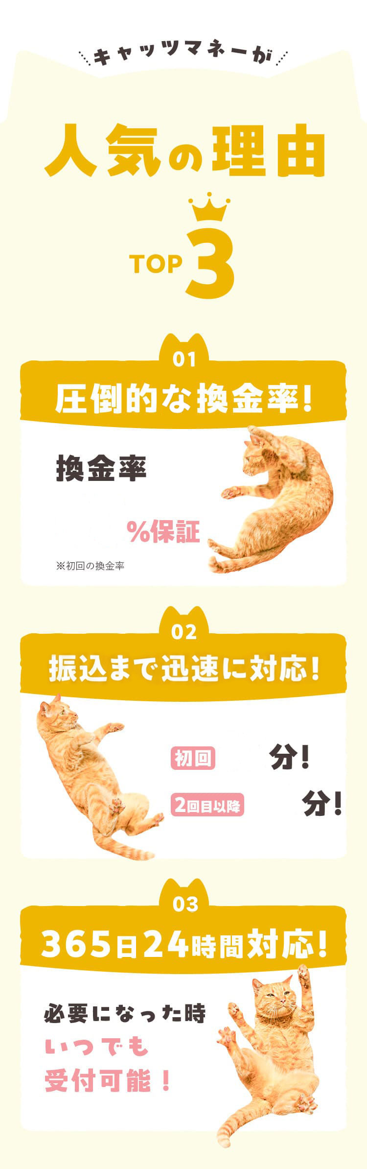 人気の理由